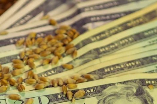 seed sowing in the bible