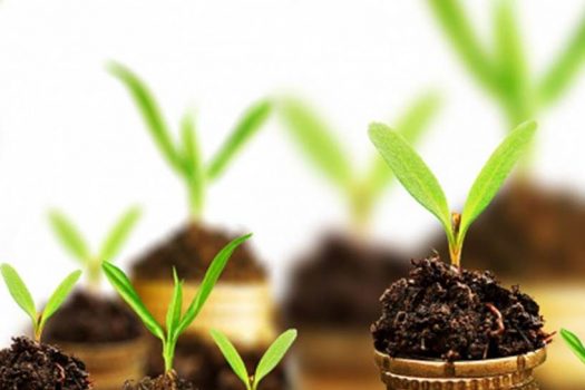 sowing seeds meaning